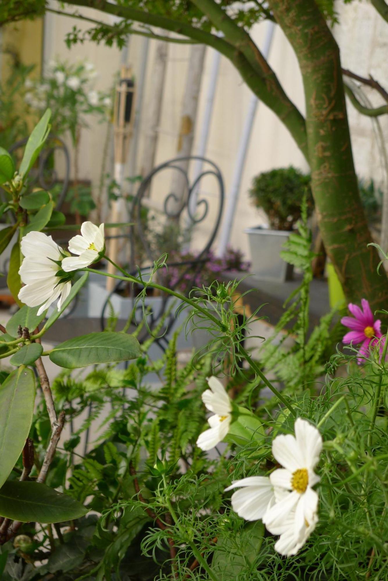 Cit'Hotel Des Messageries Saintes Esterno foto